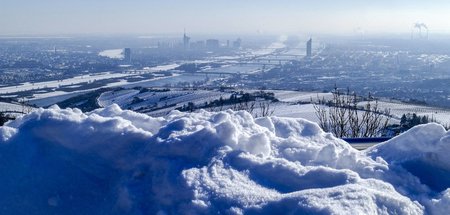 »Wien spielt die Rolle einer stolzen Schönen, die Stadt bringt m...