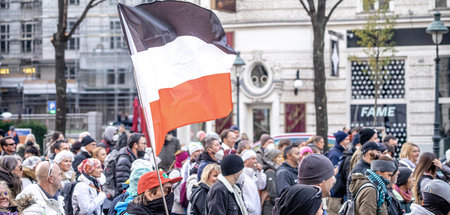 Aufstand des Mobs: Demonstration gegen Coronamaßnahmen in Wien (...