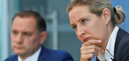 Durch die Mühen der Ebene: Die Fraktionsvorsitzenden der AfD, Ti...