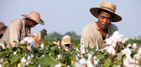 Solomon Northup (Chiwetel Ejiofor) auf einer Baumwollplantage: »... Solomon Northup (Chiwetel Ejiofor) auf einer Baumwollplantage: »...
