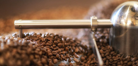 Von Äthiopien aus eroberte die Kaffeebohne die Welt und inspirie...