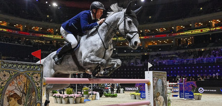 Fairer Pferdesport? Ludger Beerbaum lässt sich von Pferd Mila üb... Fairer Pferdesport? Ludger Beerbaum lässt sich von Pferd Mila üb...