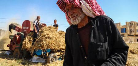 Weizenernte in Rafah: Die UAWC unterstützt auch die Bauern im Ga...