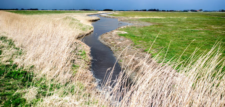 Zu den unmittelbar von der Weservertiefung betroffenen Landkreis...