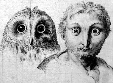 Zeichnung von Charles Le Brun (1619 – 1690) zu einem »Bericht üb...