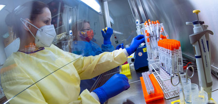 Abstrichproben im PCR-Labor des Friedrich-Löffler-Instituts für