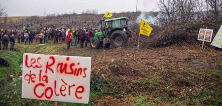Demonstration gegen die Agrarindustrie am Sonnabend im französis...