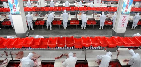 Wie kam denn nur das ganze Clenbuterol ins Schwein? »Disassembly...
