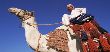 Beduinen erkennen die Zugehörigkeit zu einem Stamm bereits von w...