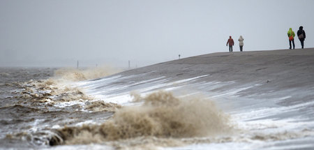 Nordsee_Deich_46997230.jpg