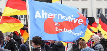 »Flügel«-Verein: Westkader der AfD wollen im Osten ein »Kraftzen...