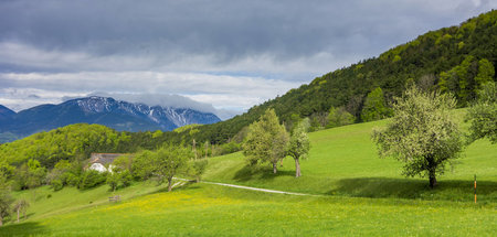 Mit Blick auf den Schneeberg im Naturpark Sierningtal-Flatzer Wa...