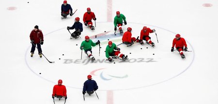 Darf nun doch nicht am Wettbewerb teilnehmen: Russisches Para-Ei...