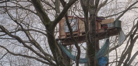 Seit August 2019 besetzt gehalten: Baumhaus im Waldstück Osterho...
