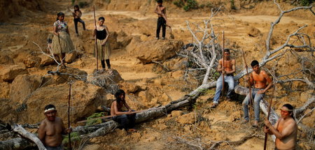 Profit über alles: Abgeholztes Gebiet des indigenen Mura-Stammes... Profit über alles: Abgeholztes Gebiet des indigenen Mura-Stammes...