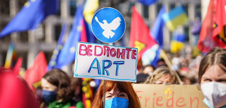 Zwischen Friedenstaube und EU-Fahnen: Demonstration am Sonntag i... Zwischen Friedenstaube und EU-Fahnen: Demonstration am Sonntag i...