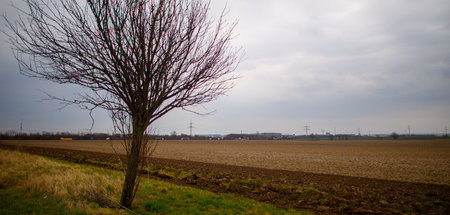 In dieser Landschaft soll bald Industrie erblühen