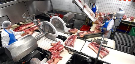 Schlachten, zerteilen, ausbeuten, bereichern: Kerngeschäft des F... Schlachten, zerteilen, ausbeuten, bereichern: Kerngeschäft des F...