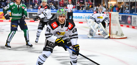 Philipp Mass von den Krefeld Pinguinen im Auswärtsspiel gegen di... Philipp Mass von den Krefeld Pinguinen im Auswärtsspiel gegen di...