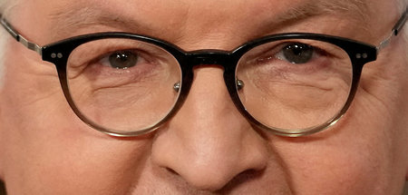 Nicht gern gesehen: Bundespräsident Frank-Walter Steinmeier