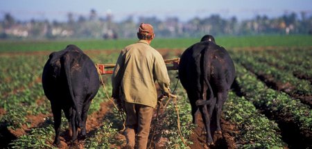 Alles hat seine Zeit, und zu jedem Tier gibt es ein Kinderlied