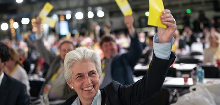 Will Panzer für Kiew. Strack-Zimmermann bei Abstimmung auf FDP-P...