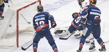 Zeigen keine Schwäche: Die Konditionscracks der Eisbären Berlin ...