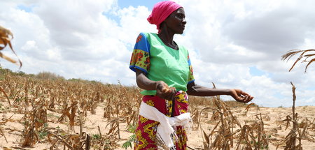 Duerre_in_Afrika_73362843.jpg