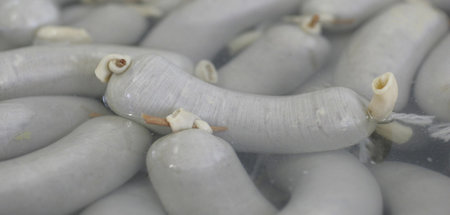 imago0158224912h.jpg