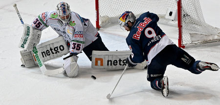 »Auch Eishockeyspieler können platt sein«: Eisbären-Torhüter Mat...