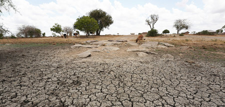 2021 war es im globalen Mittel 1,11 Grad Celsius wärmer als in d... 2021 war es im globalen Mittel 1,11 Grad Celsius wärmer als in d...