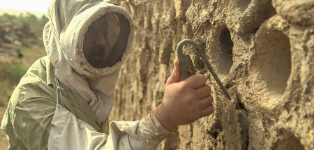Imkern in Ägypten: »Wunderbiene am Nil« Imkern in Ägypten: »Wunderbiene am Nil«