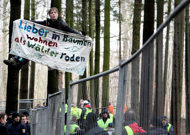 Kampf um jeden Baum – Umweltaktivisten im Kelsterbacher Wald am ...