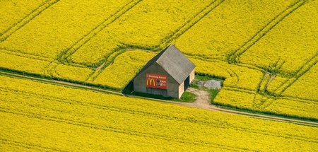 Längst sind auch die größten Rapsfelder nicht mehr in Bauernhand