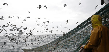 Fischfang auf dem Seelenverkäufer: »Doch, was du siehst, ist nur...