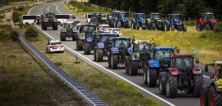 Fühlen sich von der Regierung an den Pranger gestellt: Landwirte...