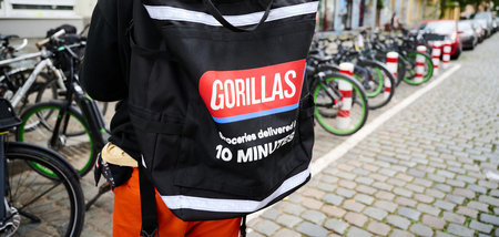 Gorillas_74015119.jpg