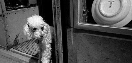 Warten auf Kundschaft: Foto von Hansgert Lambers, Wien, 1973