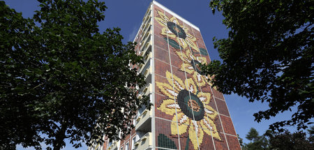 Das Sonnenblumenhaus in Rostock-Lichtenhagen