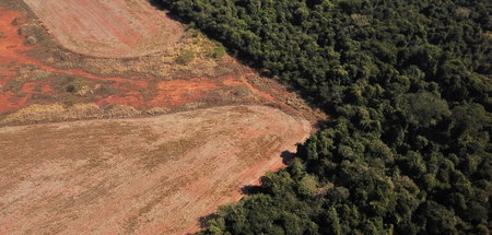 CLIMATE-UN-AMAZON-TIPPING-POINT.JPG