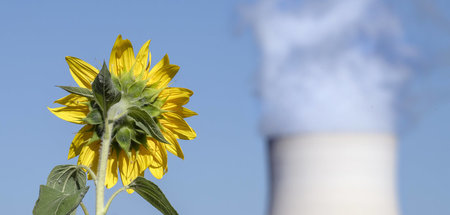 Atomkraft mit Verzierung. Die Grünen verkaufen Kapitalinteressen...