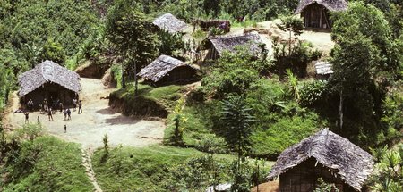 Ein Dorf in den Highlands in Papua-Neuguinea