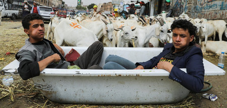 Alltag wieder möglich: Zwei Verkäufer warten auf Kundschaft für ...