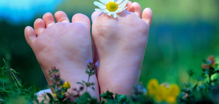 imago0160802436h.jpg