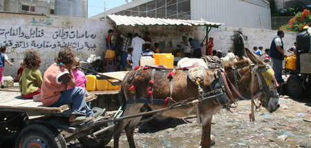Gesundes Trinkwasser gibt es in Gaza nur abgefüllt