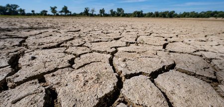 Niedrigwasser_in_der_74573644.jpg