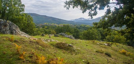 Schöne Natur, wenige Bewohner: Spaniens ländliche Gegenden kämpf...