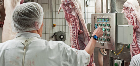 Schweinehälften: Zerlegen und verarbeiten im Akkord (Güstrow, 27...