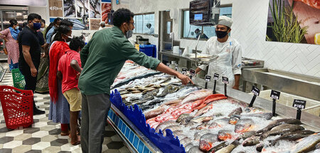 Soziale Maßnahmen: An der Fischtheke in einem Einkaufszentrum in...