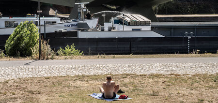 Endlich mal wieder richtig Sommer? Impression vom Mainufer in Fr...